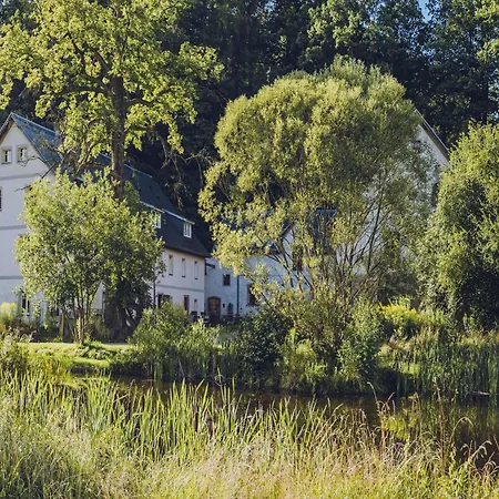 Countryside In Trzcinsko * جانوفيتشي فيلكيه
